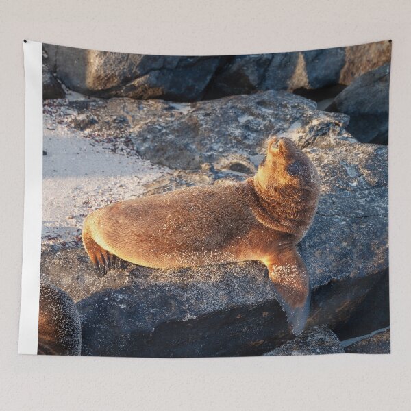Item preview, Sunset Sea Lion Lying on the Beach designed and sold by SafariByMarisa.