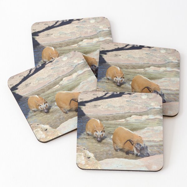 Item preview, Bushpigs designed and sold by Savannah Gibbs.