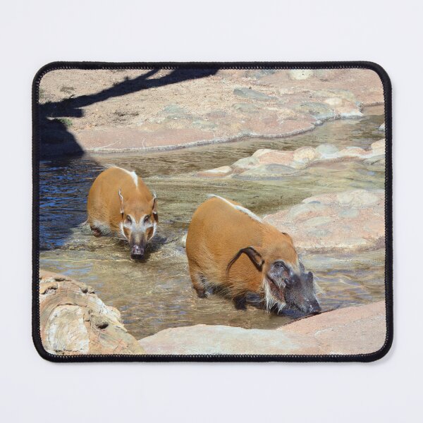 Item preview, Bushpigs designed and sold by Savannah Gibbs.