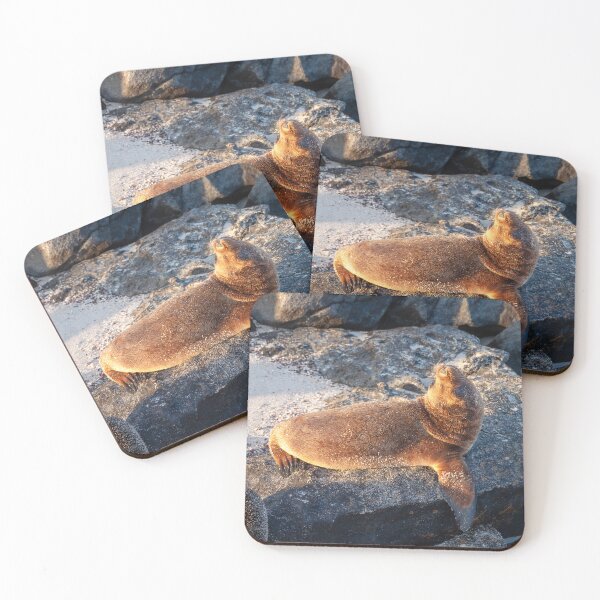 Item preview, Sunset Sea Lion Lying on the Beach designed and sold by SafariByMarisa.