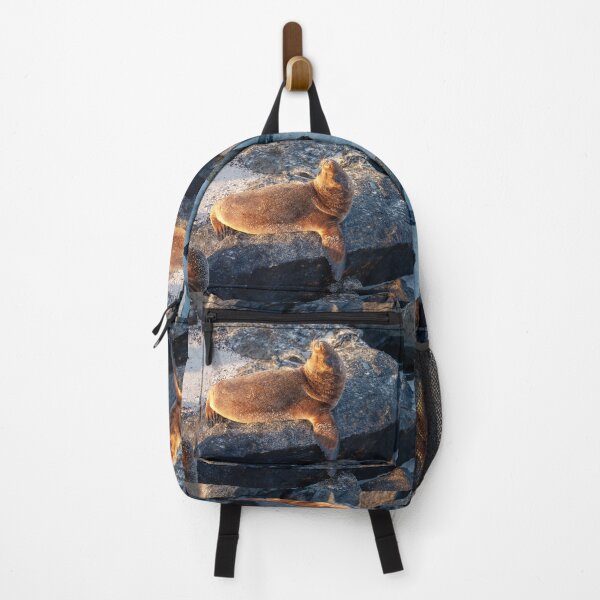 Item preview, Sunset Sea Lion Lying on the Beach designed and sold by SafariByMarisa.