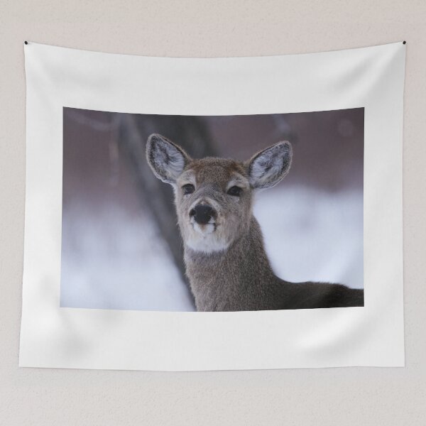 Item preview, Inquisitive Yearling designed and sold by Alyce Taylor.