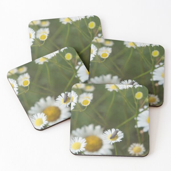 Item preview, daisies  designed and sold by Nezeralday.