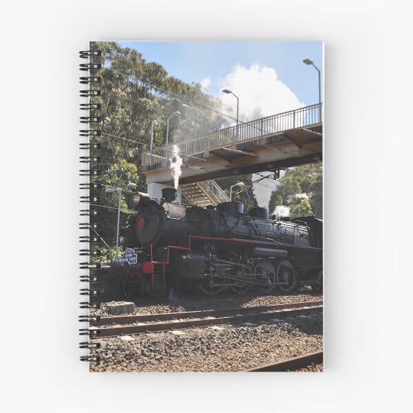 Item preview, 20231015 Coalcliff, NSW - Steam Engine 5917 designed and sold by muz2142.