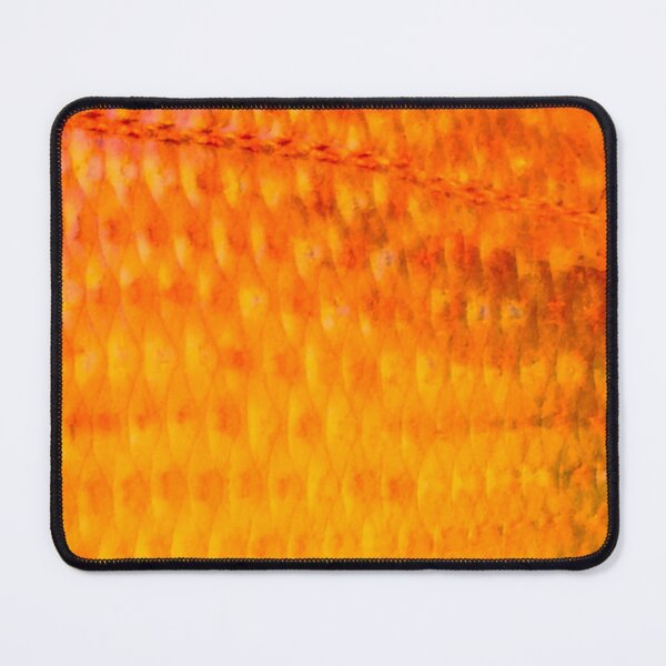 Item preview, Fire Orange Scup Porgy Skin designed and sold by CJRPics.