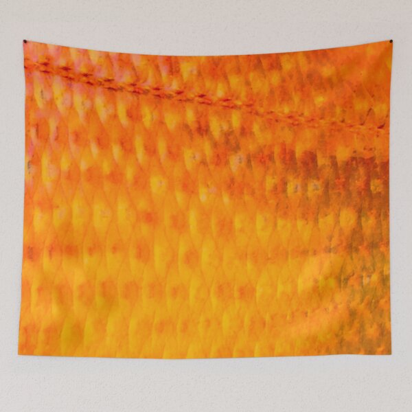 Item preview, Fire Orange Scup Porgy Skin designed and sold by CJRPics.