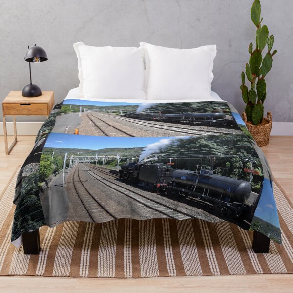 Item preview, 20231015 Coalcliff, NSW - Steam Engine 5917 -2 designed and sold by muz2142.