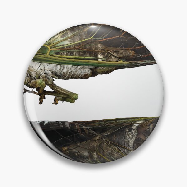 Item preview, American Cicada bug designed and sold by DreamingBeetle.