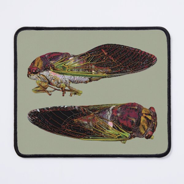 Item preview, American Cicada bug in purple dawn designed and sold by DreamingBeetle.