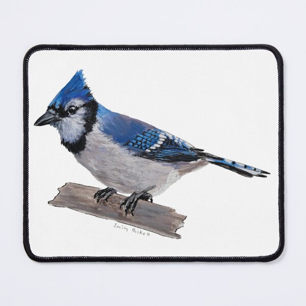Item preview, Perched Blue Jay designed and sold by Emily Bickell.