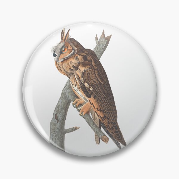 Item preview, Long Eared Owl Vintage Bird Chromolithograph by Audubon and Havell Birdwatching Gift designed and sold by ElegantTeaTime.