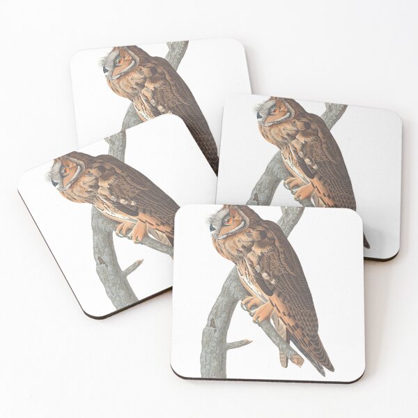 Item preview, Long Eared Owl Vintage Bird Chromolithograph by Audubon and Havell Birdwatching Gift designed and sold by ElegantTeaTime.