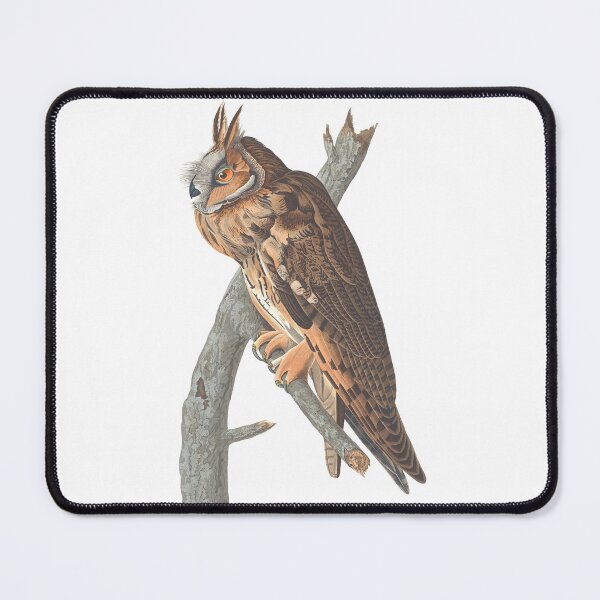 Item preview, Long Eared Owl Vintage Bird Chromolithograph by Audubon and Havell Birdwatching Gift designed and sold by ElegantTeaTime.