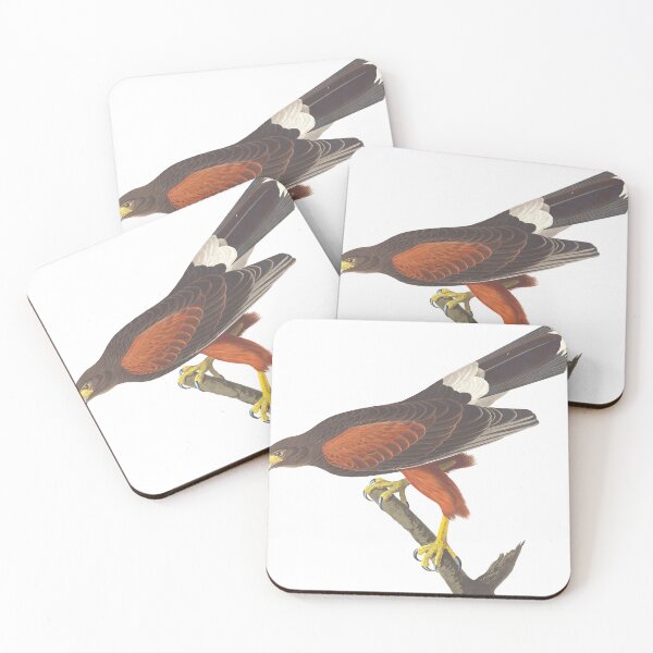 Item preview, Louisiana Hawk Vintage Bird Chromolithograph by Audubon and Havell Birdwatching Gift designed and sold by ElegantTeaTime.