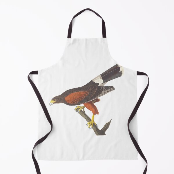 Item preview, Louisiana Hawk Vintage Bird Chromolithograph by Audubon and Havell Birdwatching Gift designed and sold by ElegantTeaTime.
