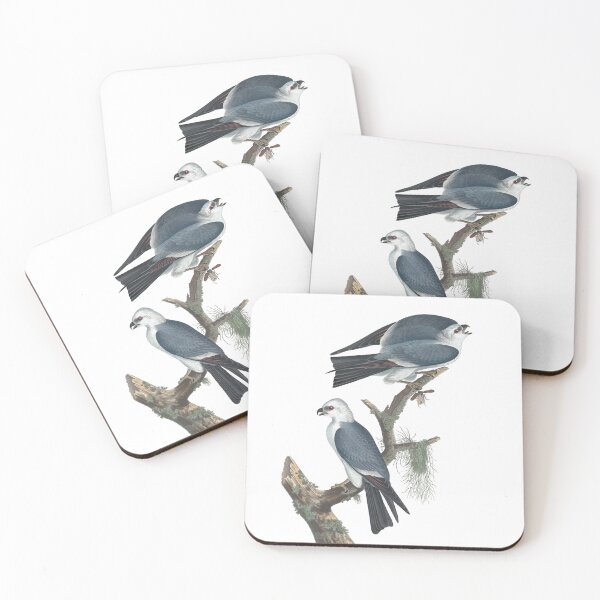 Item preview, Mississippi Kite Birds Vintage Chromolithograph by Audubon and Havell Sweet Pretty Happy Birdwatching Gift designed and sold by ElegantTeaTime.