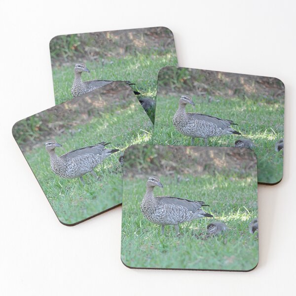Item preview, Wild wood duck with her baby duckling chicks designed and sold by IPPhotography.