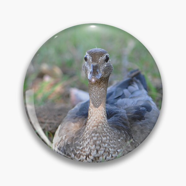 Item preview, Wild wood duck resting in the grass with her baby duckling chicks designed and sold by IPPhotography.