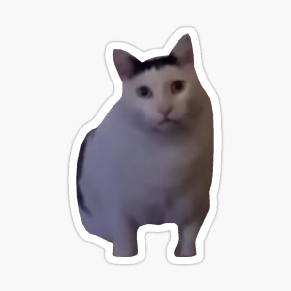 Cat Memes Stickers on the App Store