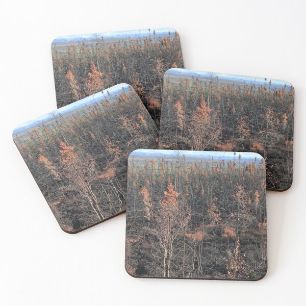 Item preview, Burnt forest designed and sold by zumi.