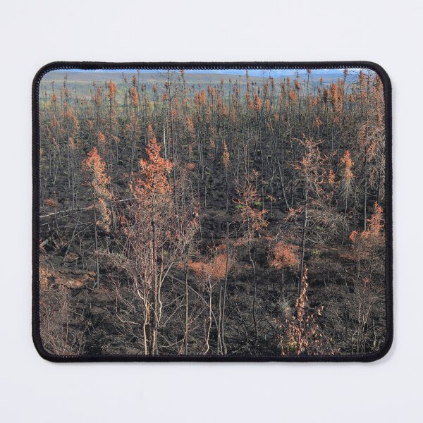 Item preview, Burnt forest designed and sold by zumi.