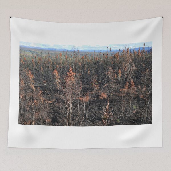 Item preview, Burnt forest designed and sold by zumi.