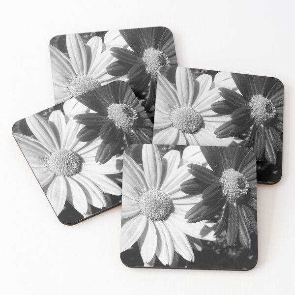 Item preview, Daisies In Black White designed and sold by Katrina M Britt.