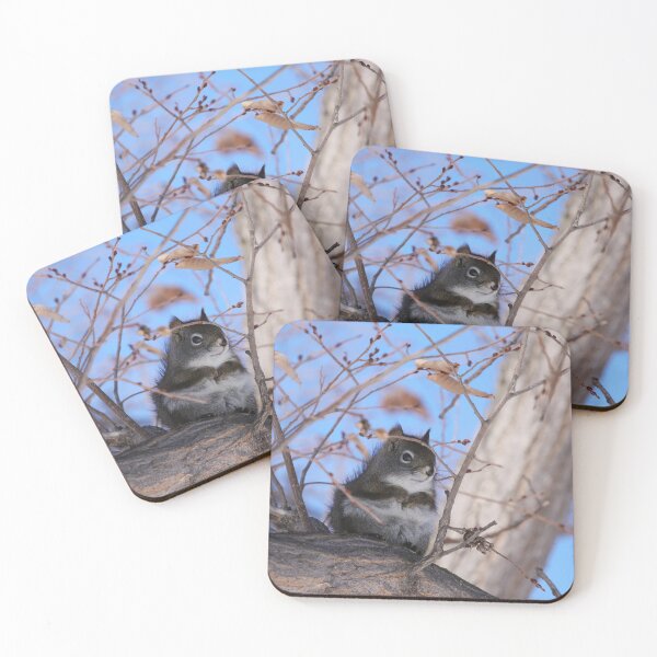 Item preview, American Red Squirrel designed and sold by Alyce Taylor.