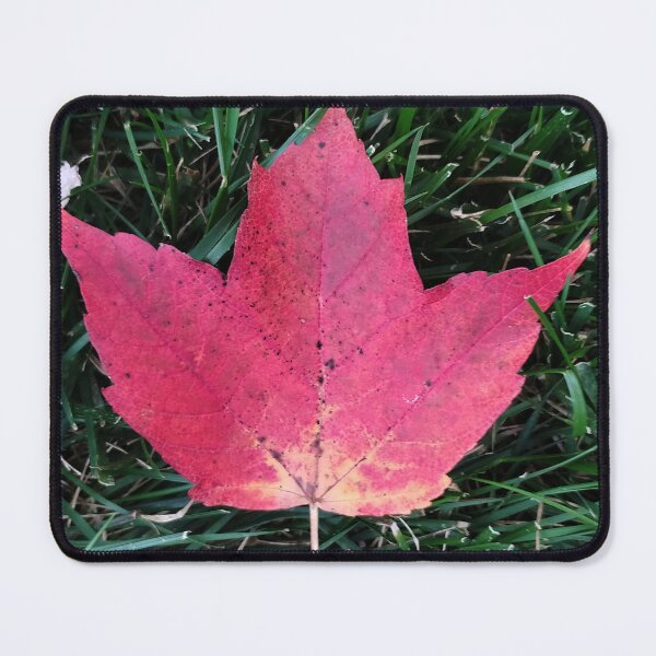 Item preview, Red Maple Leaf 1 designed and sold by gistinker.