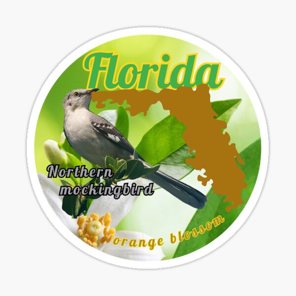 Item preview, Florida State Sticker with State Flower and Bird designed and sold by lepapierbleu.