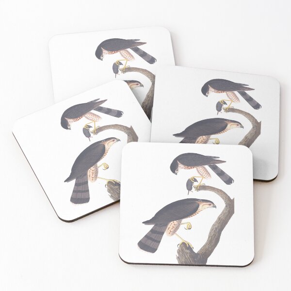 Item preview, Sharp Shinned Hawk Bird Chromolithograph by Audubon and Havell Sweet Pretty Happy Birdwatching Gift designed and sold by ElegantTeaTime.