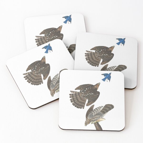 Item preview, Stanley Hawk Birds Vintage Chromolithograph by Audubon and Havell Birdwatching Gift designed and sold by ElegantTeaTime.