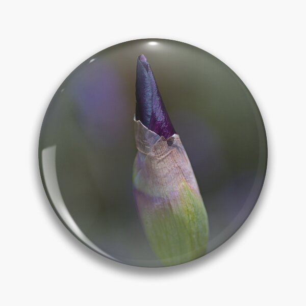 Item preview, Iris Flower Bud Dreaming  designed and sold by Joy Watson - Natural Light Photography .