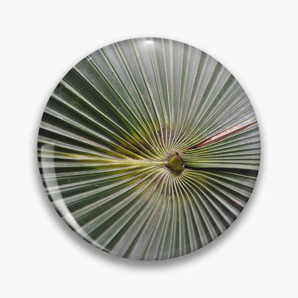 Item preview, Green fanning leaves of the Chinese Windmill Palm  designed and sold by IPPhotography.