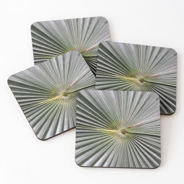 Item preview, Green fanning leaves of the Chinese Windmill Palm  designed and sold by IPPhotography.
