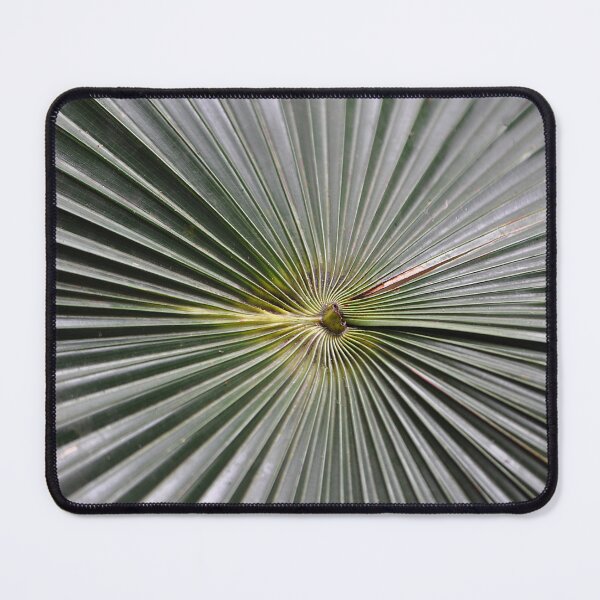Item preview, Green fanning leaves of the Chinese Windmill Palm  designed and sold by IPPhotography.