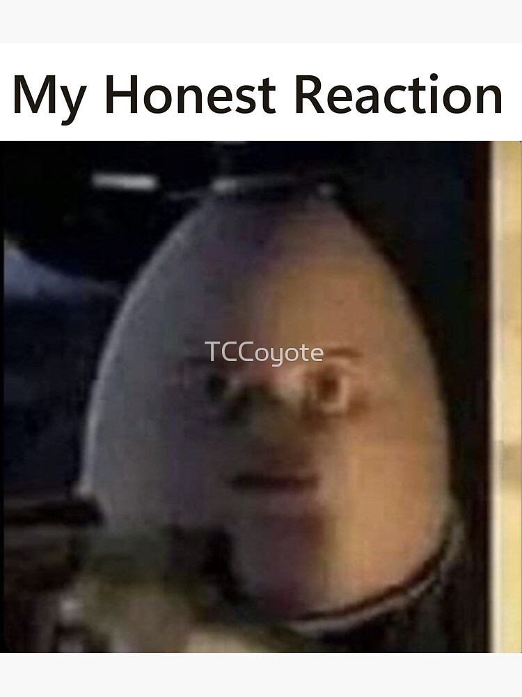 My Honest Reaction My Honest Reaction Meme Sticker - My honest