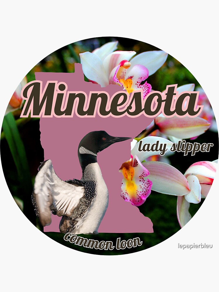 Midwestern Bird Vinyl Stickers