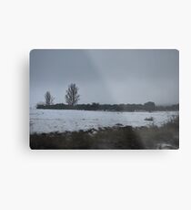 Winter Metal Print
