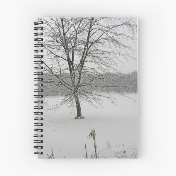 Item preview, Winter In South Brent designed and sold by lezvee.