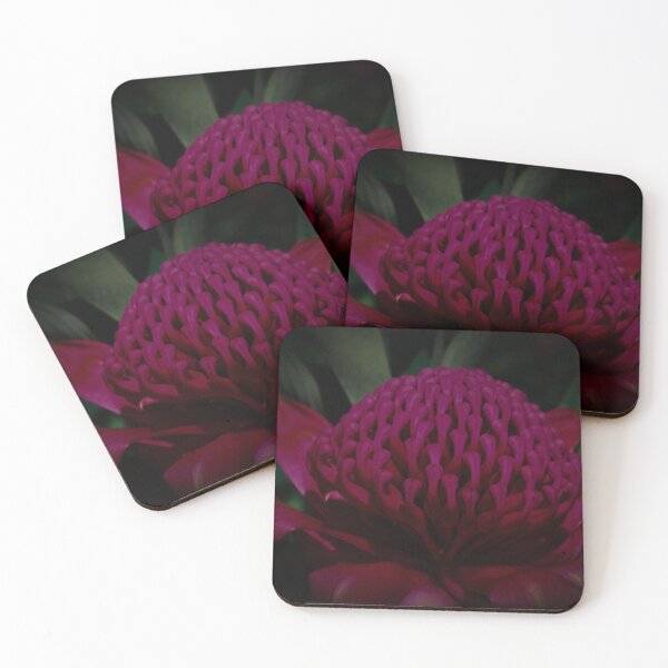 Item preview, Gembrook Waratah Flower designed and sold by Linda Sijpkes.