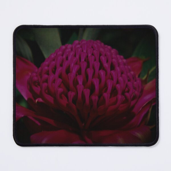 Item preview, Gembrook Waratah Flower designed and sold by Linda Sijpkes.