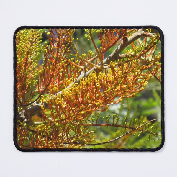 Item preview, Silky oak flowers designed and sold by greentiger1.