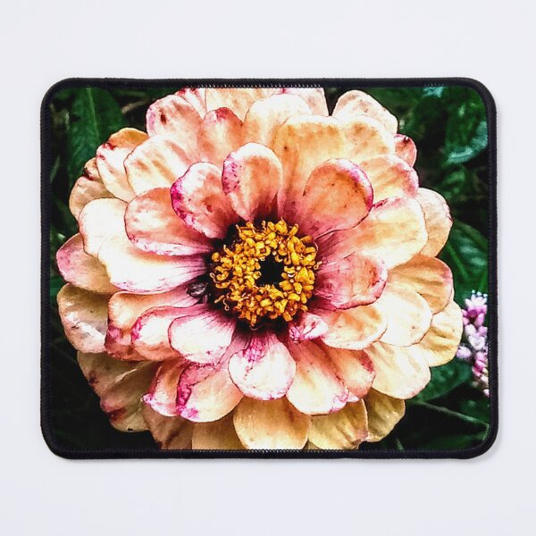 Item preview, Spring in Bloom designed and sold by Photos-by-adot.
