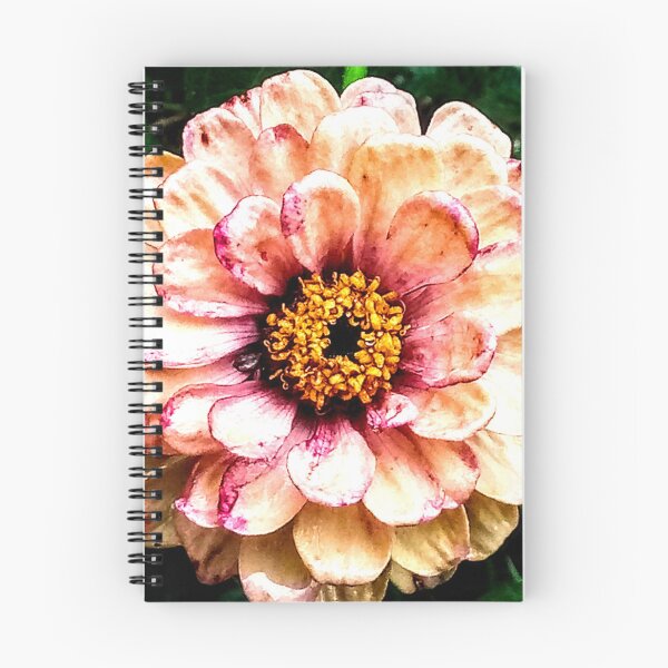 Item preview, Spring in Bloom designed and sold by Photos-by-adot.
