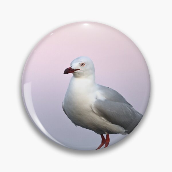 Item preview, Curious Seagull designed and sold by BroomstickMagic by Dani Musicka.