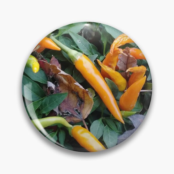 Item preview, Orange and Red peppers on the vine designed and sold by Photos-by-adot.