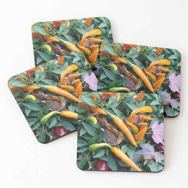 Item preview, Orange and Red peppers on the vine designed and sold by Photos-by-adot.