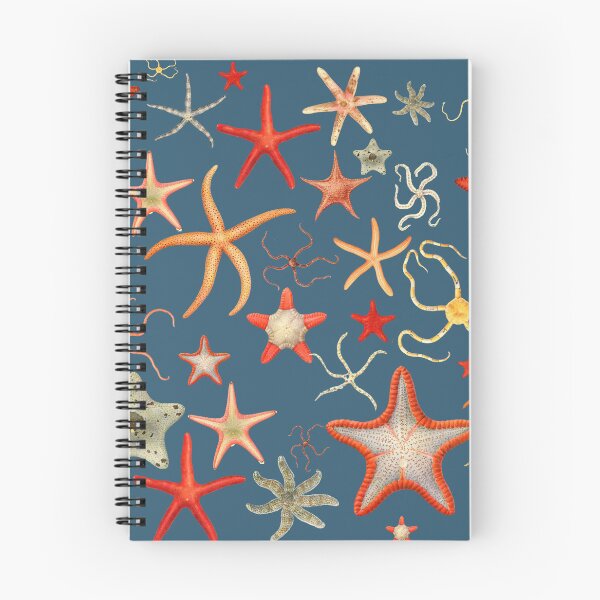 Item preview, The Epoch Collection Australian Starfish Sky from Echinoderms from Australia 1938 NAVY designed and sold by Coastal Garden Design Studio.