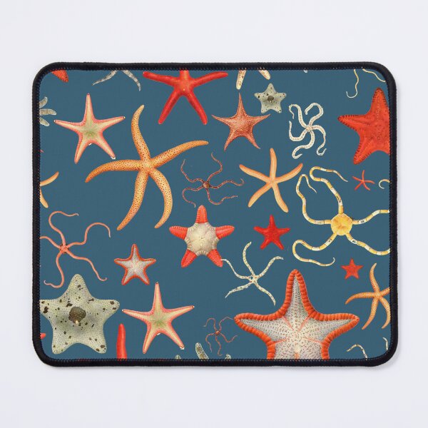 Item preview, The Epoch Collection Australian Starfish Sky from Echinoderms from Australia 1938 NAVY designed and sold by Coastal Garden Design Studio.